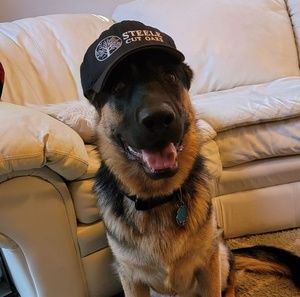 Meet your Posher, Tyler